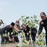 Cegah Polusi hingga Banjir, Dompet Dhuafa Tanam 1.000 Mangrove di Pandeglang