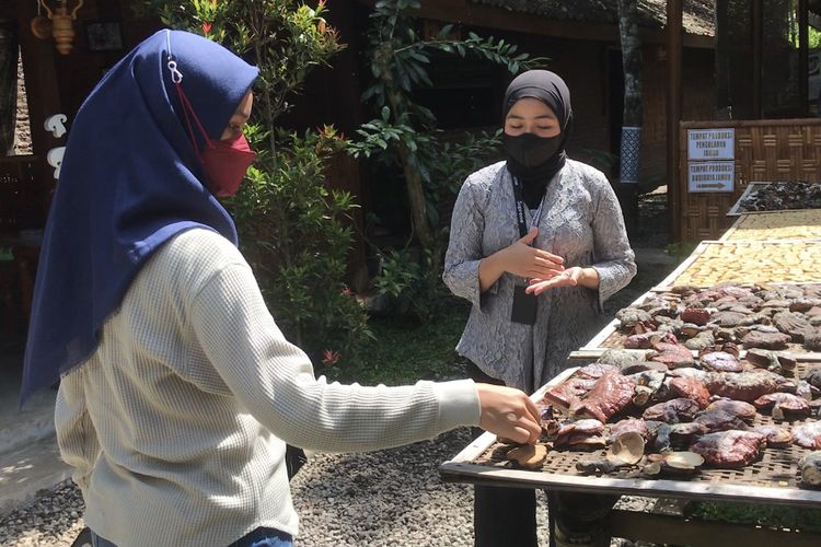 Wisatawan mengunjungi obyek wisata edukasi Jamur Borobudur di Desa Wanurejo, Borobudur, Jawa Tengah pada Jumat (13/5/2022).