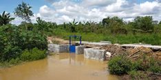 Optimasi Lahan Jadi Strategi Kementan Tingkatkan Produksi Pangan, Apa Itu?