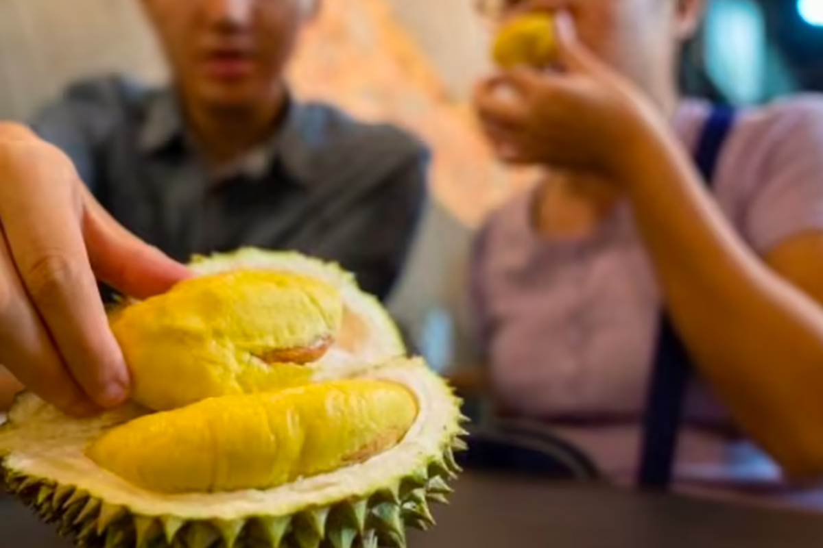 Makan buah durian memberikan beberapa potensi manfaat untuk kesehatan, seperti meningkatkan kekebalan tubuh dan menjaga kesehatan jantung.