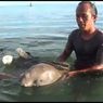 Dugong yang Terdampar Sepekan di Polewali Mandar Akan Dilepasliarkan ke Habitat Aslinya