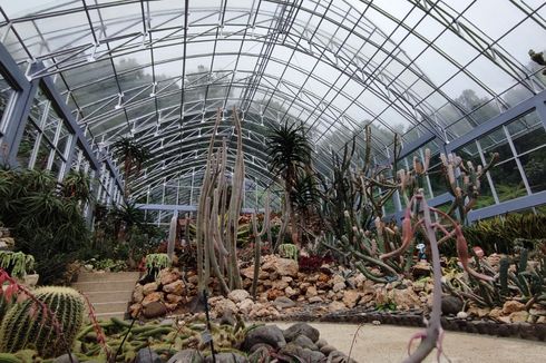 Rumah Kaca Kaktus di Kebun Raya Bali Buka Lagi per 1 Januari 2023