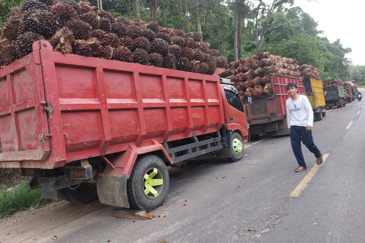 Inspeksi mendadak Komisi II DPRD Provinsi Bengkulu ke sejumlah pabrik CPO di daerah itu menemukan penurunan harga Tandan Buah Segar (TBS) kelapa sawit dilakukan tidak transparan dan sepihak oleh perusahaan.