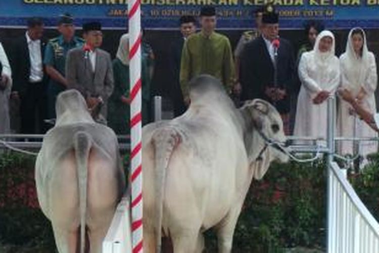 Presiden Susilo Bambang Yudhoyono dan Wakil Presiden Boediono menyerahkan sapi untuk dikurbankan di Masjid Istiqlal