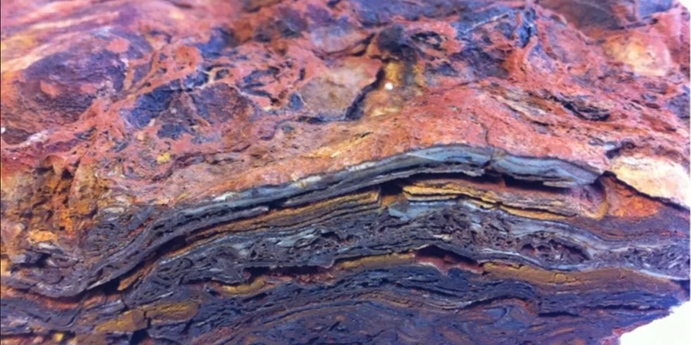 Struktur batuan berlapis terbentuk dari fosil mikroba fotosintesis yang disebut stromatolit



