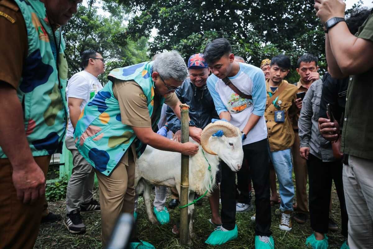 Wali Kota Bandung, Muhammad Farhan meninjau pemeriksaan kesehatan dan kelayakan hewan kurban di tempat penitipan dan penjualan hewan kurban di Pusat Kesejahteraan Kavaleri (Pussenkav) Jalan Salak, Kelurahan Turangga, Selasa (3/6/2025).