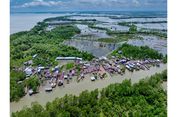 Di Pesisir Kalimantan, Rehabilitasi Mangrove Tak Lagi Sekadar Menanam