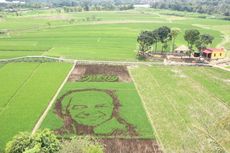 Ada Mural Wajah Ganjar Pranowo di Hamparan Sawah Kabupaten Semarang