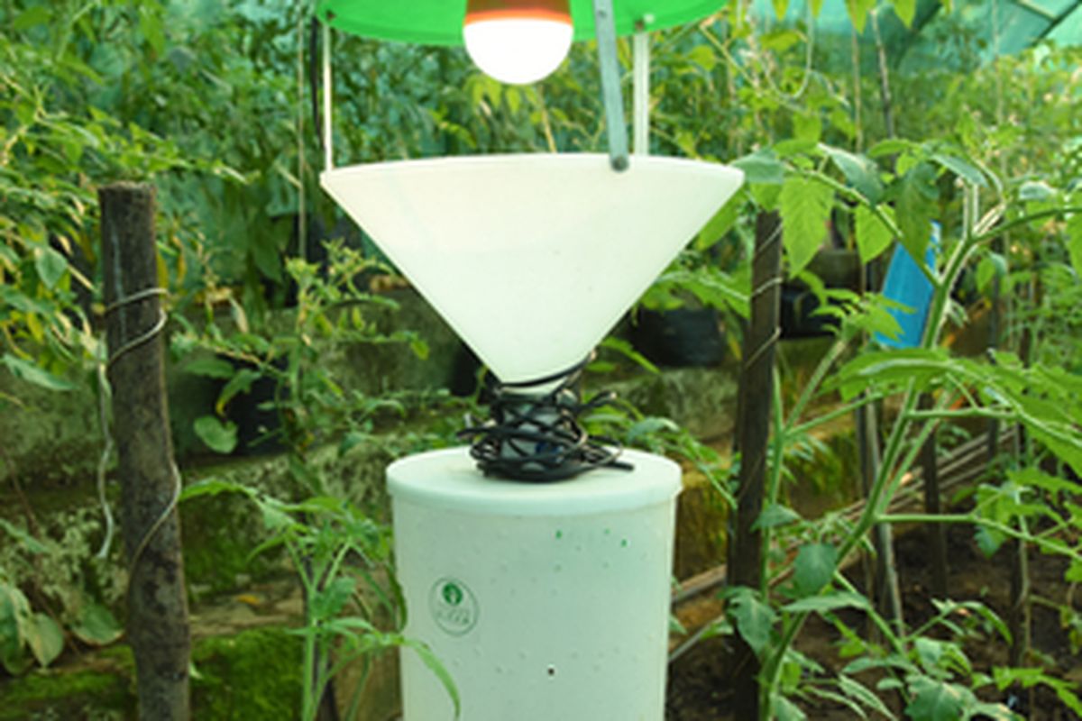 Ilustrasi perangkap lampu untuk mengatasi serangan hama