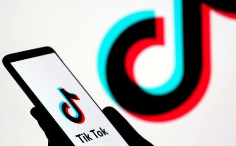 TikTok Proposes Social Media Alliance to Remove Harmful Content