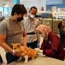Care For Paw Jadi Sarana Pet Kingdom Wujudkan Kepedulian pada Hewan