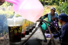 Uniknya Kopi Ethek, Dijajakan di Sawah dan Dibayar dengan Gabah