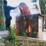 Pengunjung Panik, Gerobak Kaki Lima di Alun-alun Pemalang Terbakar