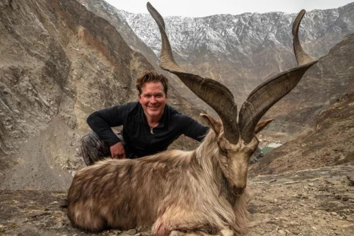 Pemburu bernama Bryan Kinsel Harlan saat berfoto dengan kambing gunung langka, Astore markhor, di Pakistan.