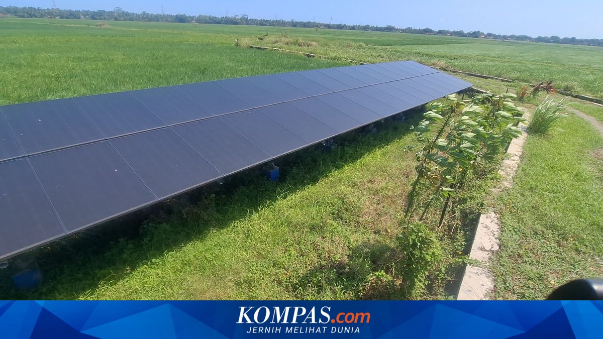 Kisah Petani di Purworejo, Menjaga Pompa Tenaga Surya lewat Tradisi Pon Kerja
