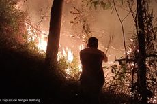 10 Hektar Lahan Pinggir Jalan Lintas Timur Bangka Terbakar, Pemadamannya Terkendala