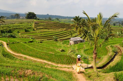 Pemerintah Masih Kaji Usul Penerapan Pajak Turis Asing di Indonesia