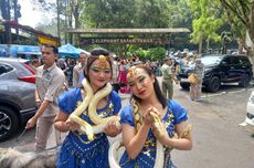 Serunya Rayakan HUT Ke-78 RI Bersama Satwa di Taman Safari Bogor