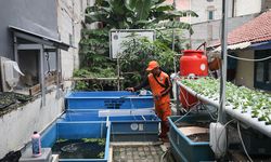 Dari Kerja Sama Antardaerah hingga Urban Farming, Cara Jakarta Jaga Ketahanan Pangan