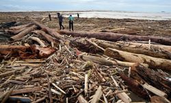 Krisis Ekologi Sumatra: Sebuah Utopia Pembangunan Berkelanjutan