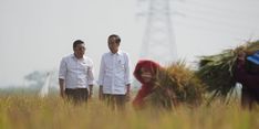 Amankan Produksi Beras, Plt Mentan bersama Presiden RI Tinjau Panen Raya di Subang