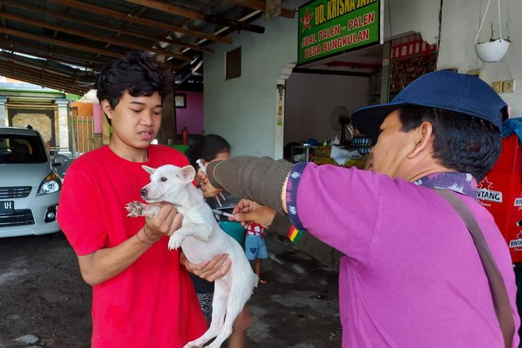 Petugas memberikan vaksin terhadap anjing peliharaan warga di Buleleng, Provinsi Bali, Senin (11/4/2022).