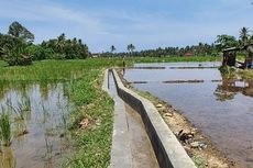 Berkat RJIT, Produktivitas Pertanian Poktan di Padang Pariaman Ini Melonjak