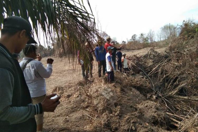 Lahan tebu seluas 26 hektare milik 22 petani yang diduga dirusak dan diserobot oleh mafia tanah di Kabupaten Way Kanan.