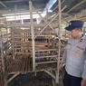 Pencurian Ternak di Jombang, Pelaku Terekam CCTV Gendong Seekor Kambing