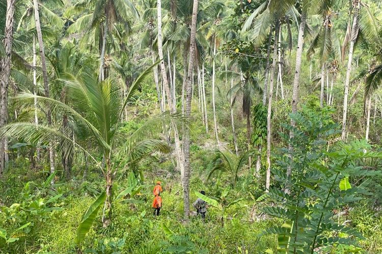 Lansia Hilang di Ladang Jembrana, Warga Cari dengan Bunyi Gamelan