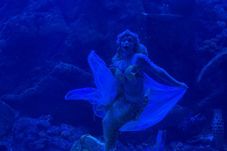 Ada Pertunjukan Mermaid dan Tarian Lebaran di BXSea, Sekian Harga Tiketnya