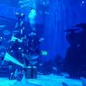 6 Aktivitas yang Bisa Dilakukan di Jakarta Aquarium Saat Libur Nataru