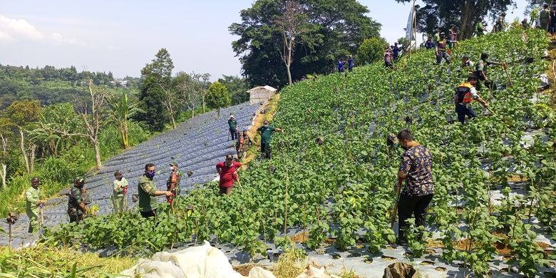 Komando Distrik Militer (Kodim) 0621 Kabupaten Bogor beserta forkopimda mencanangkan gerakan penanaman satu juta pohon di kawasan Puncak Bogor, Jawa Barat, Kamis (31/3/2022).