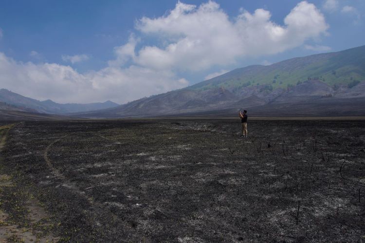 Seorang wisatawan mengabadikan gambar kondisi padang sabana di Bukit Teletubbies, Probolinggo, Jawa timur, Selasa (19/9/2023). Balai Besar Taman Nasional Bromo Tengger Semeru (BBTNBTS) kembali membuka kawasan wisata Gunung Bromo yang sempat ditutup total selama 9 hari akibat kebakaran yang disebabkan suar yang dinyalakan pengunjung. ANTARA FOTO/Irfan Sumanjaya/foc.