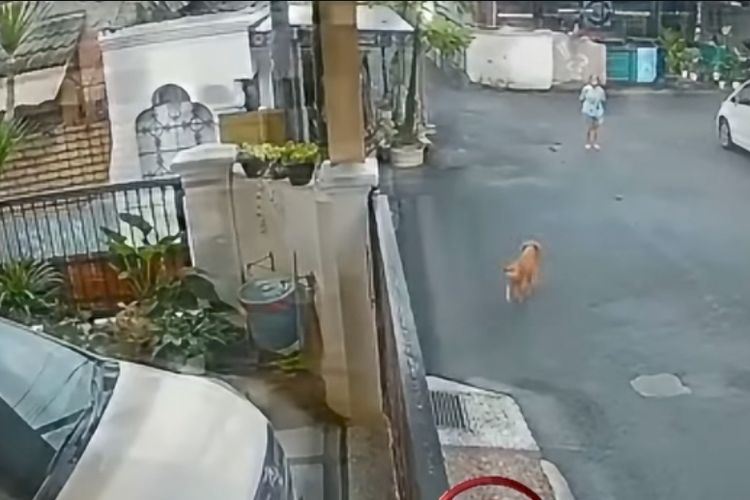 Lansia Digigit Anjing Saat Jalan Kaki di Duren Sawit Jaktim, Luka di Kaki Kanan