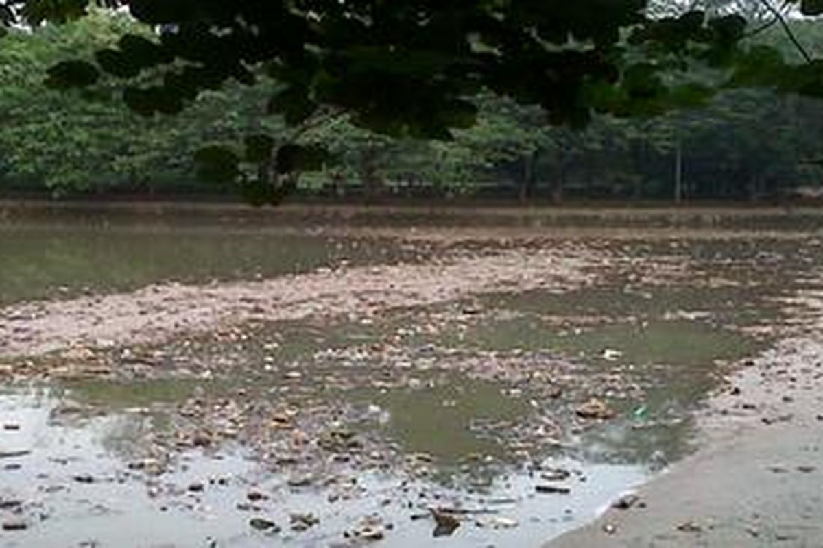 Danau yang terletak di tengah Hutan Kota Srengseng terlihat dipenuhi sampah (23/08/2010). Warga berharap hutan ini dibenahi agar masyarakat mau berkunjung.