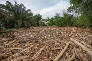 Pakar Geomatika ITS Ungkap dari Mana Munculnya Kayu Gelondongan Pascabanjir Sumatera