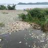 Waduk Jatigede Jadi Lautan Sampah, Bupati Sumedang Minta Warga di Hulu Cimanuk Tidak Buang Sampah ke Sungai