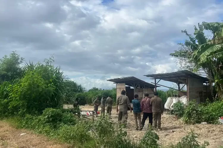 Sebabkan Bau Menyengat, Tempat Penjemuran Limbah Bulu Ayam di Klungkung Ditutup Satpol PP