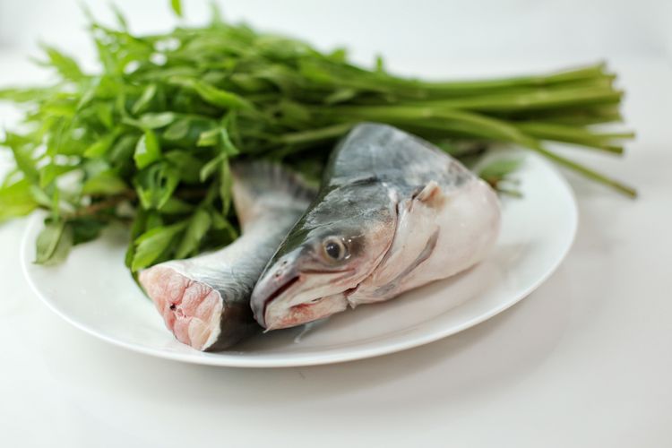 Makan ikan setiap hari bisa menurunkan risiko stroke.