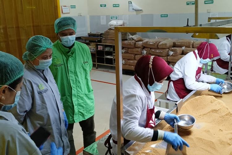 Para pekerja di Koperasi Semedo Manise sedang mengemas produk gula semut yang telah menembus pasar internasional.