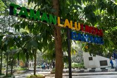 10 Aktivitas di Taman Lalu Lintas Bandung, Bisa Sepedaan