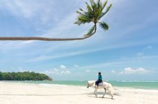 Kunjugan Wisman Lebih Rendah dari 2019, Bintan Harap Penerbangan Internasional Dibuka