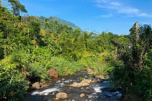 Pesona Aliran Sungai di Babakan Madang Bogor, Ada Air Terjun Kecil