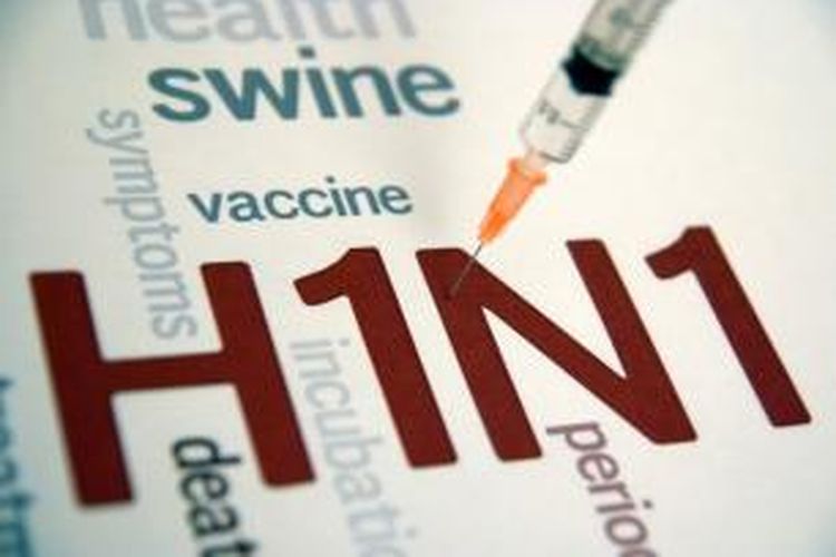 Ilustrasi virus H1N1