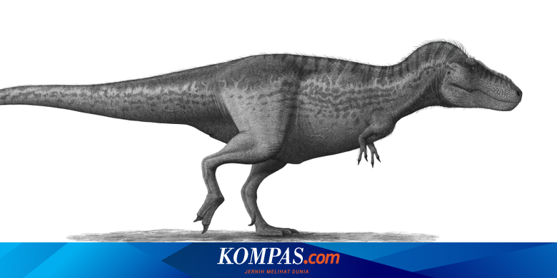 Terungkap, Rahasia T-rex Hancurkan Mangsa dalam Satu Gigitan