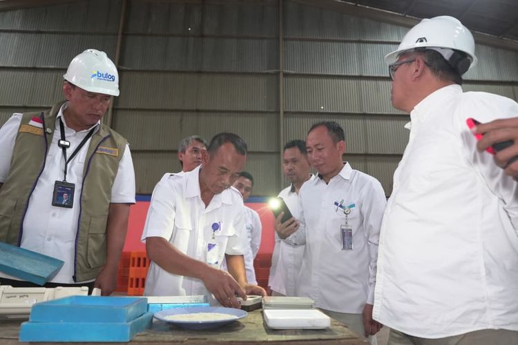 Sudah 17.000 Ton, Bulog Targetkan Stok Beras Papua Naik 3 Kali Lipat