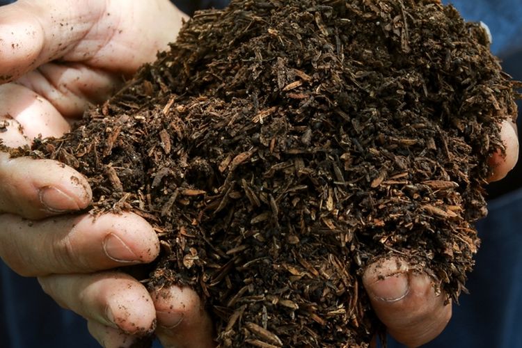 Ilustrasi tanah mengandung banyak unsur hara