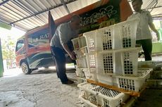 Penyelundup 5.000 Ekor Burung dari Hutan Jambi dan Riau Ditangkap di Tol Lampung