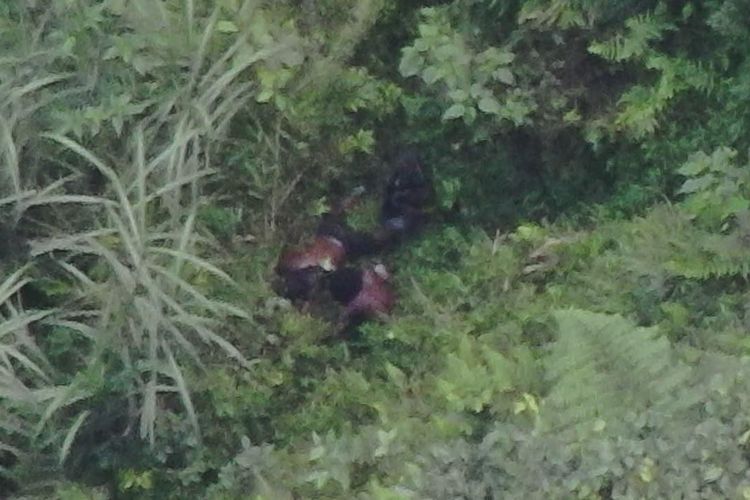 Kerap Lakukan Serangan, Bos OPM Guspi Waker Ditembak, tapi Diselamatkan Anggotanya ke Hutan